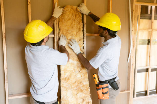 Best Blown-In Insulation  in Farmers Branch, TX